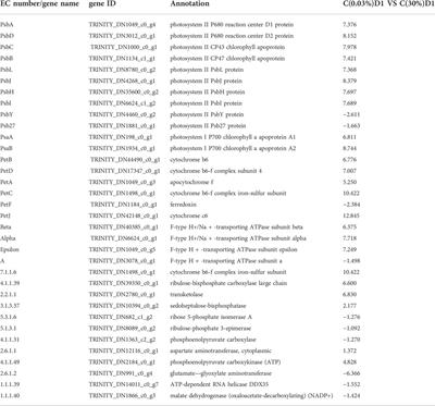 Study on high-CO2 tolerant Dunaliella salina and its mechanism via transcriptomic analysis